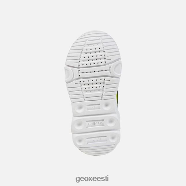 laim/must ZZ2TH21382 Geox toapoiss