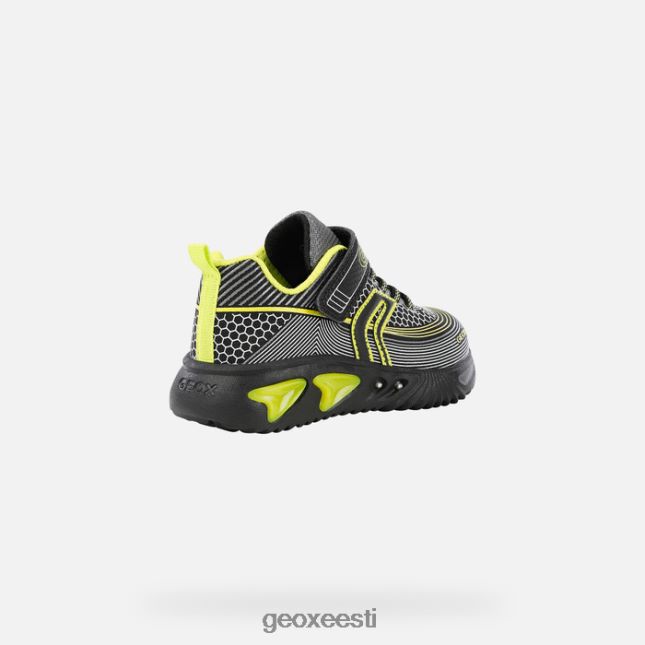 must/laim ZZ2TH21405 Geox abimees poiss