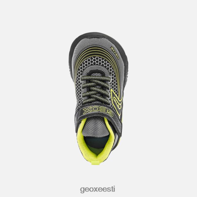 must/laim ZZ2TH21405 Geox abimees poiss