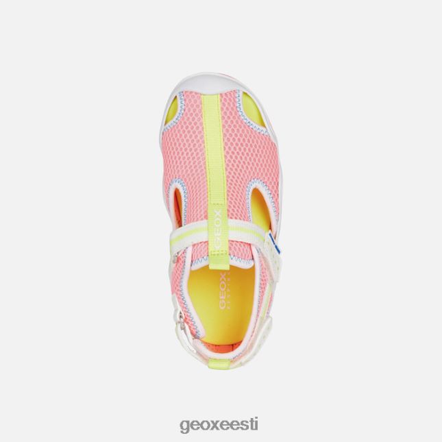 fluo fuksia/valge ZZ2TH21047 Geox kahlaja juunior
