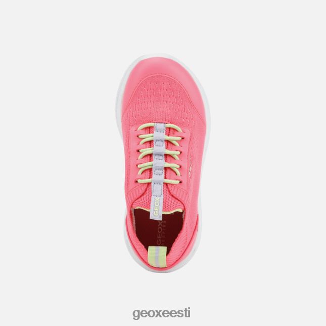 fluo fuksia ZZ2TH21057 Geox sprintye juunior