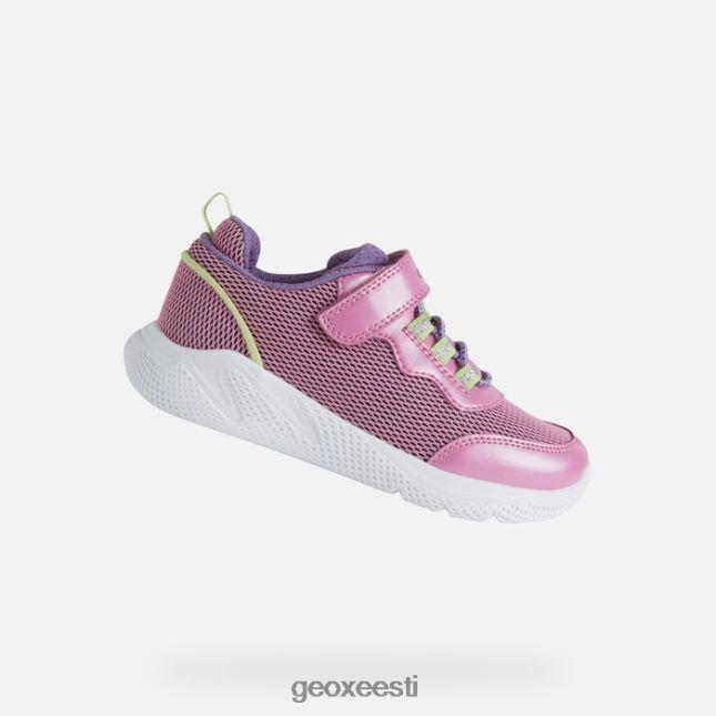 fuksia/laim ZZ2TH21137 Geox sprintye juunior