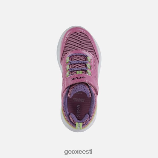 fuksia/laim ZZ2TH21137 Geox sprintye juunior