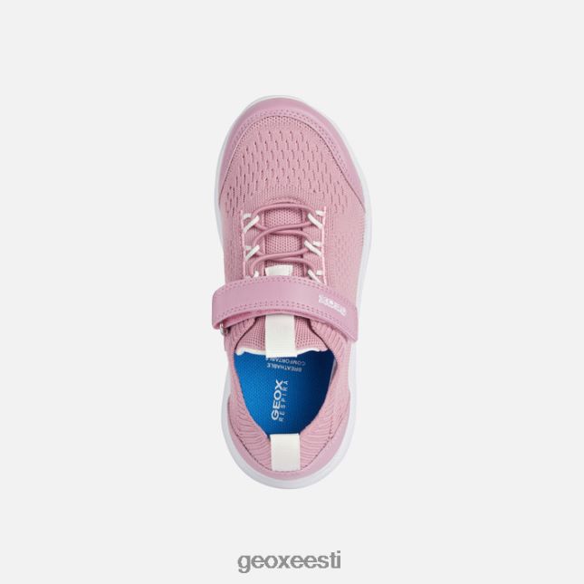 roosa ZZ2TH21007 Geox spherica juunior
